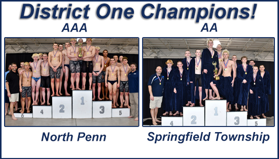 2022 Boys Swimming District One Aaa And Aa Results